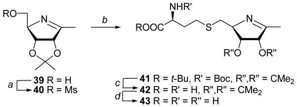 Scheme 5