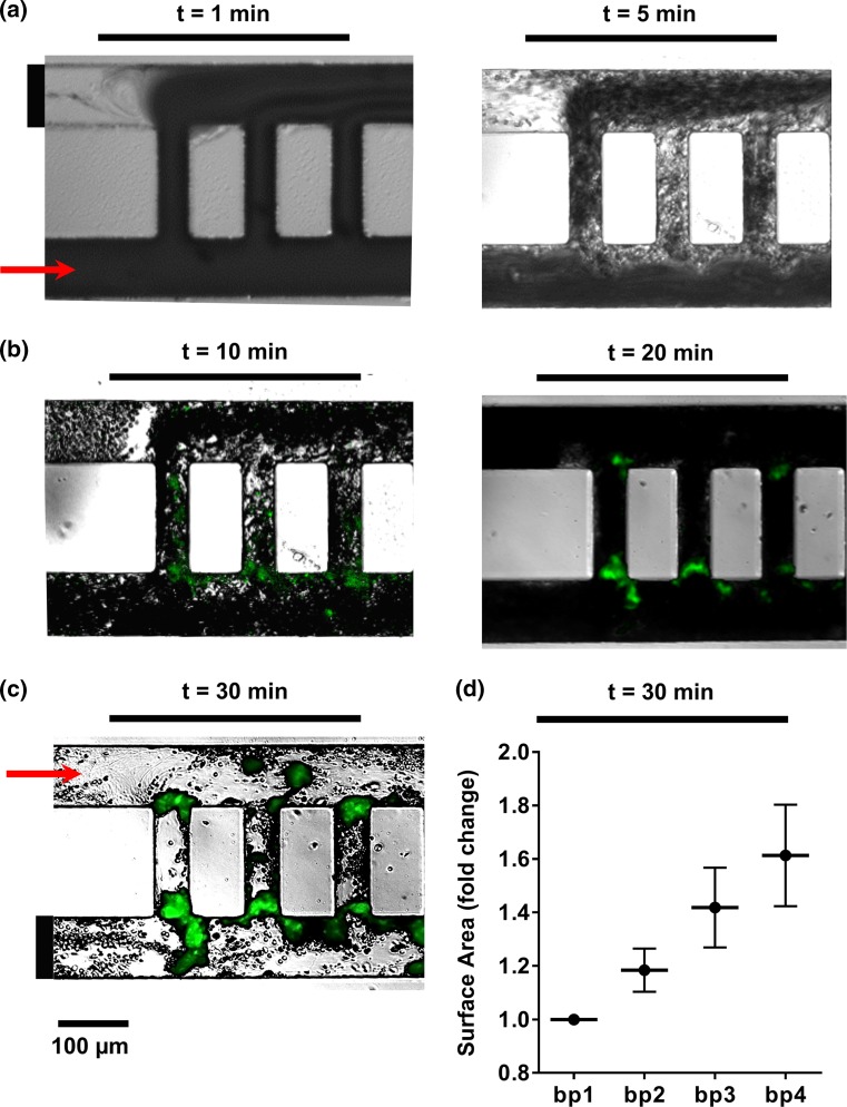 Figure 3