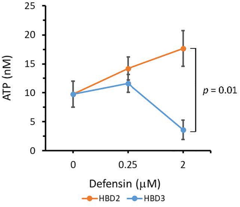 FIGURE 3