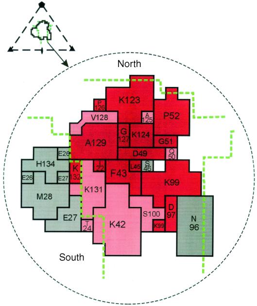 FIG. 5.