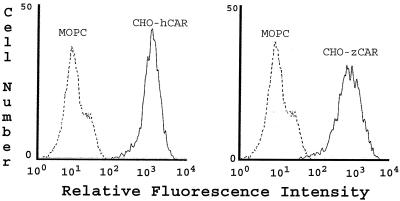 FIG. 2.