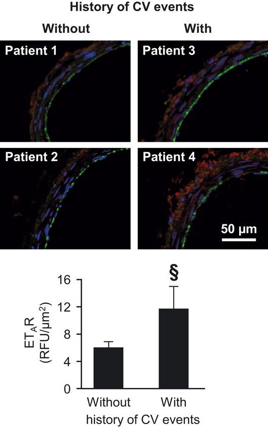 Figure 6.