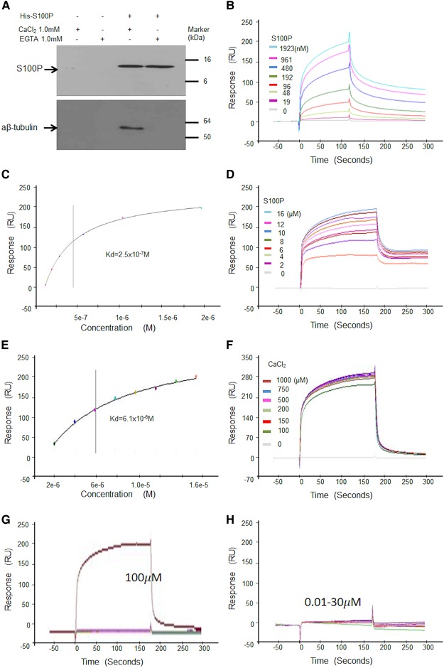 Figure 2.