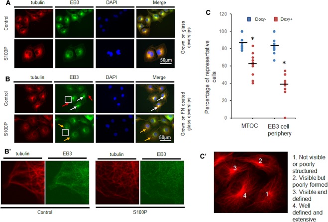 Figure 4.