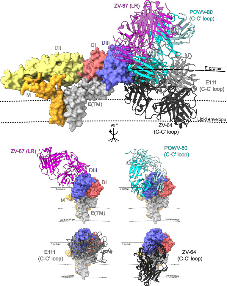 Figure 6.