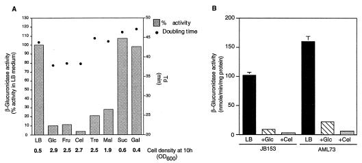 FIG. 7