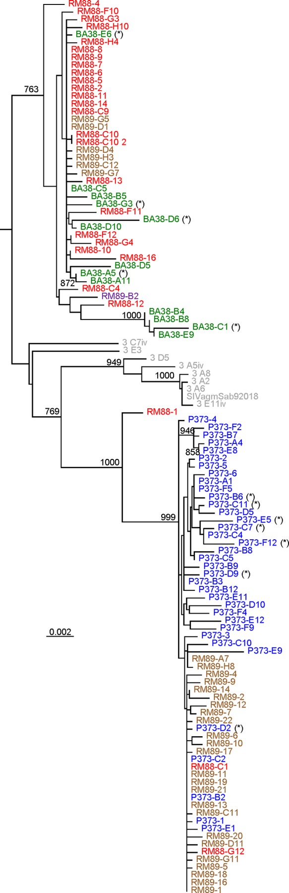 FIG 3