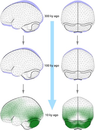 Fig. 3