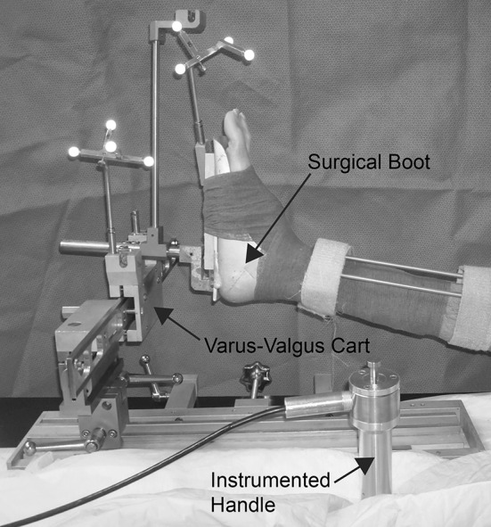 Fig. 1