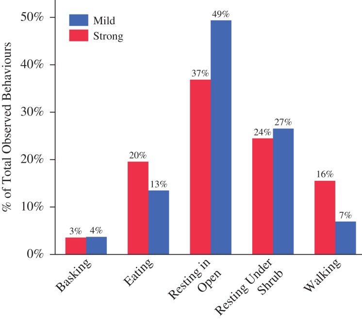 Figure 5: