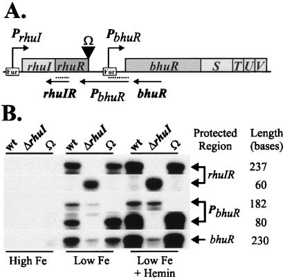 FIG. 5.