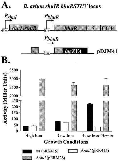 FIG. 2.