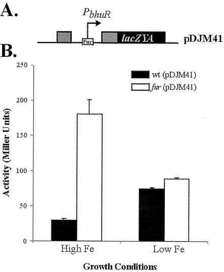 FIG. 7.