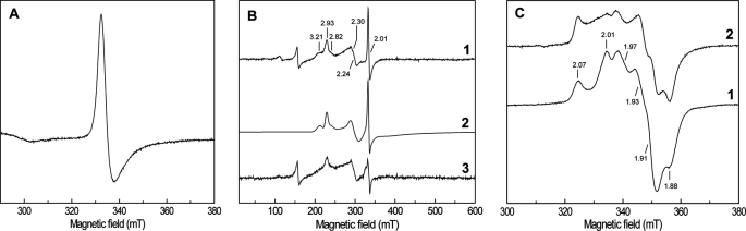 FIGURE 4.