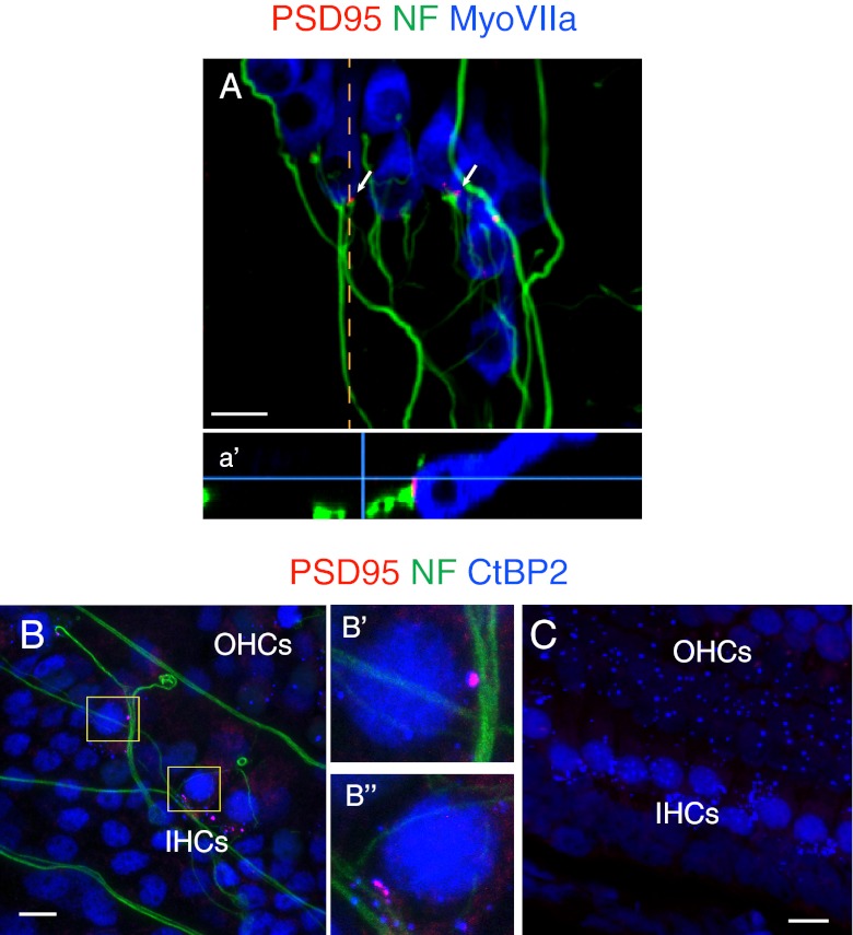 FIG. 3