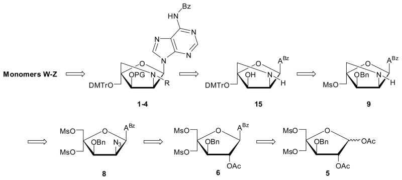 Scheme 1