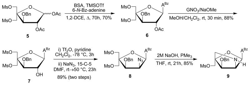 Scheme 2