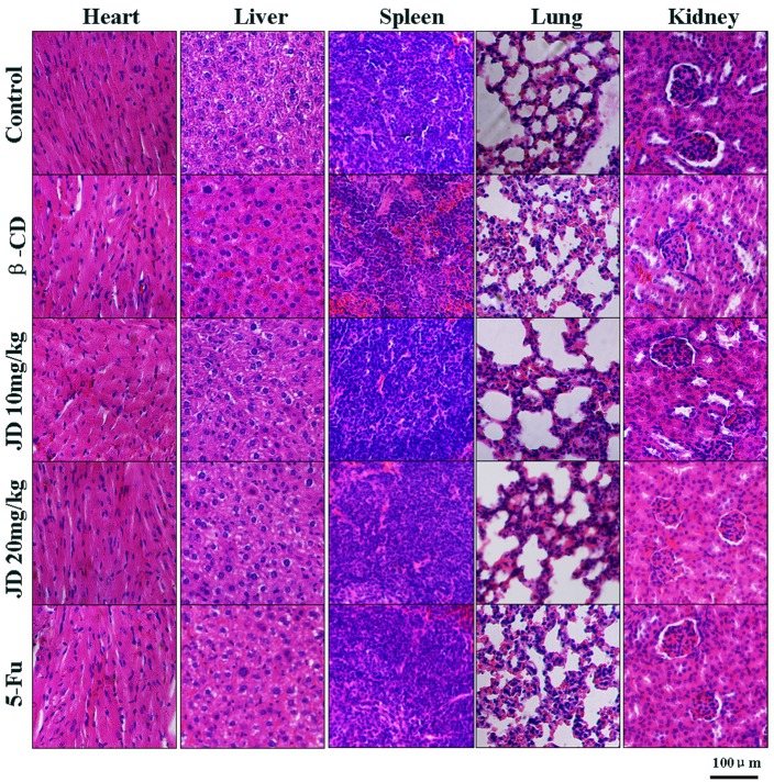 Fig 13