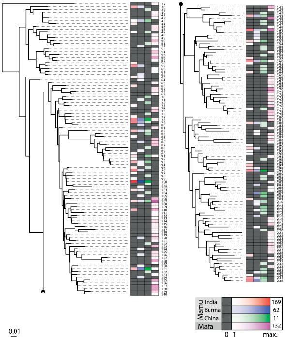 Fig. 9