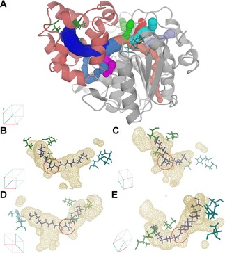 Figure 9