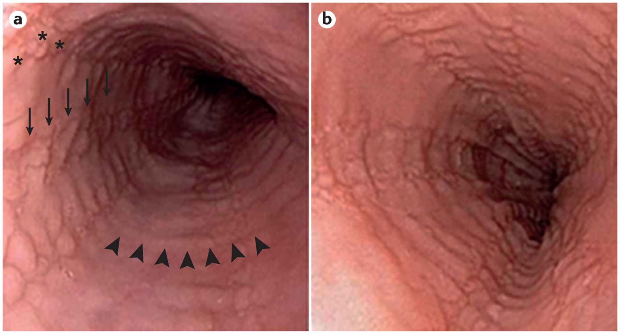 Figure 1 |