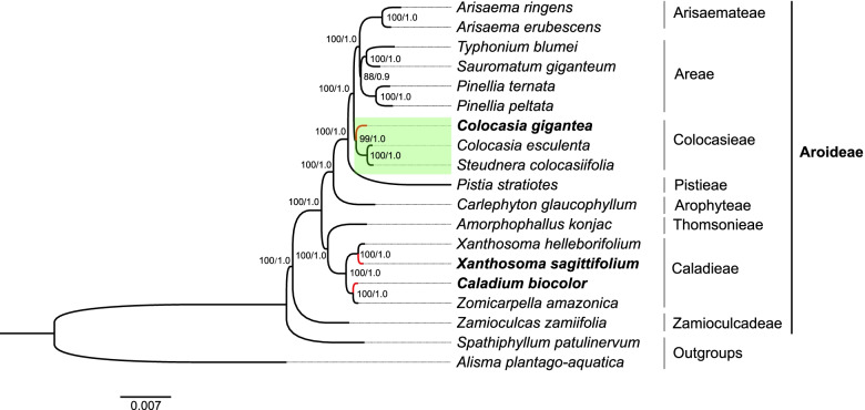 Fig. 7