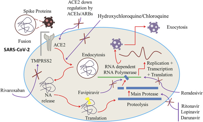 FIGURE 4