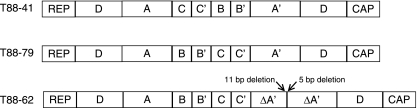 FIG. 5.