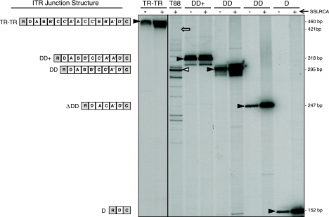 FIG. 6.