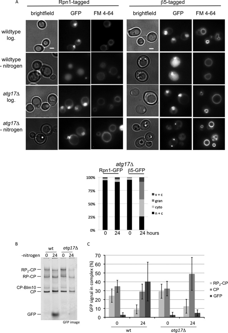 FIGURE 4.