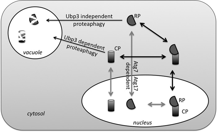 FIGURE 7.