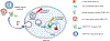 Fig. 16.