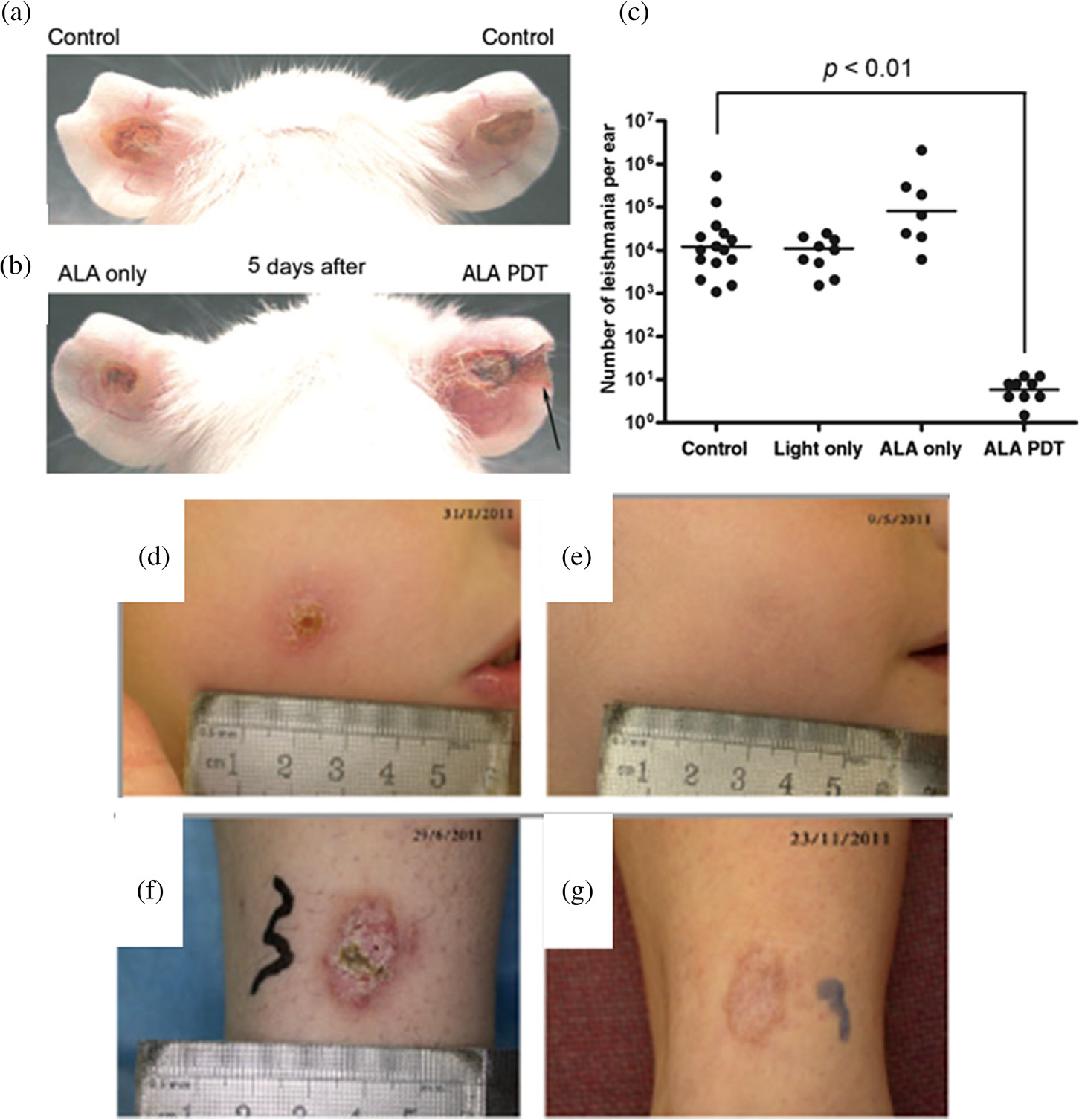 Fig. 18.