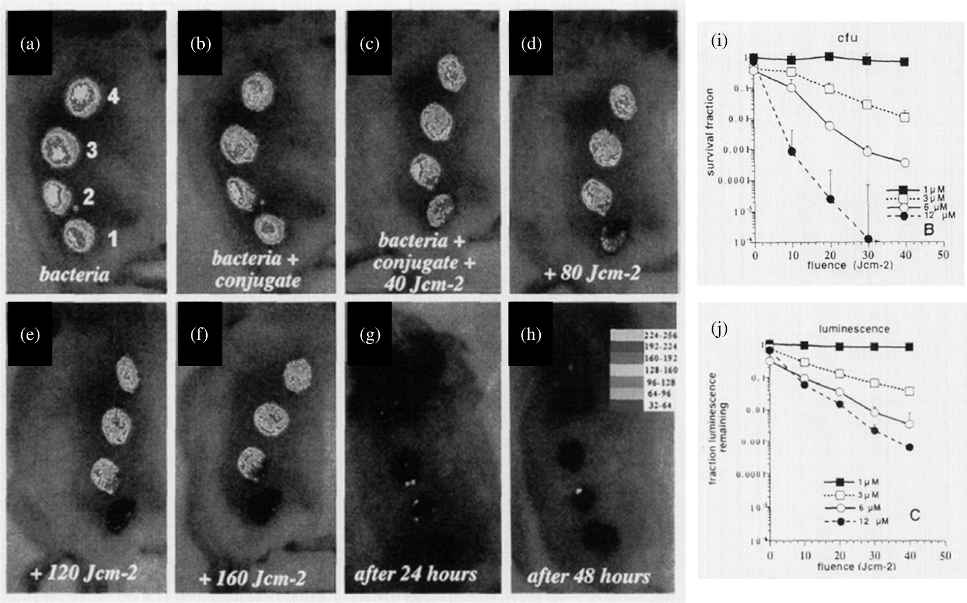 Fig. 17.