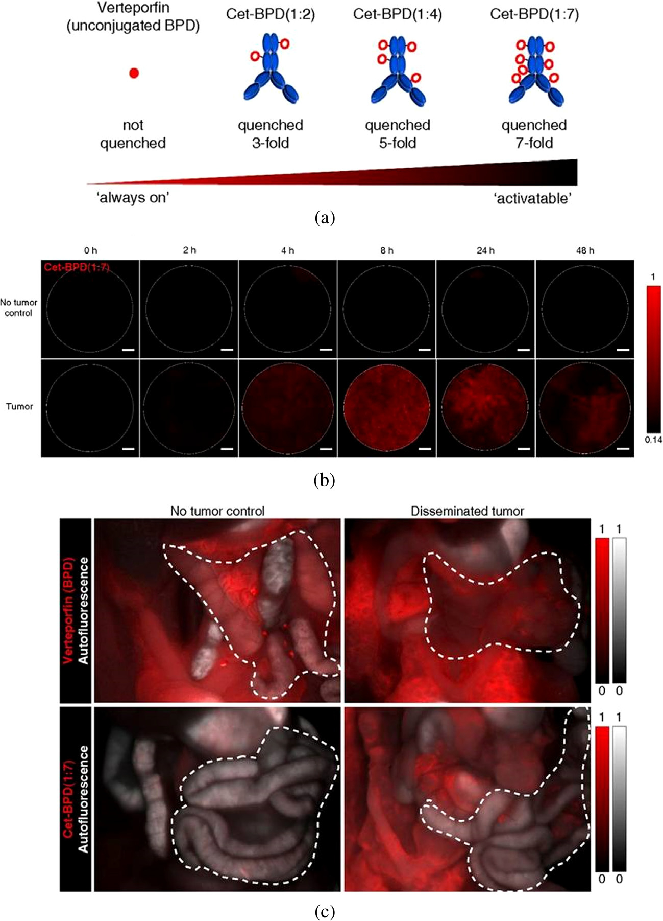 Fig. 8: