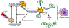 Fig. 2.