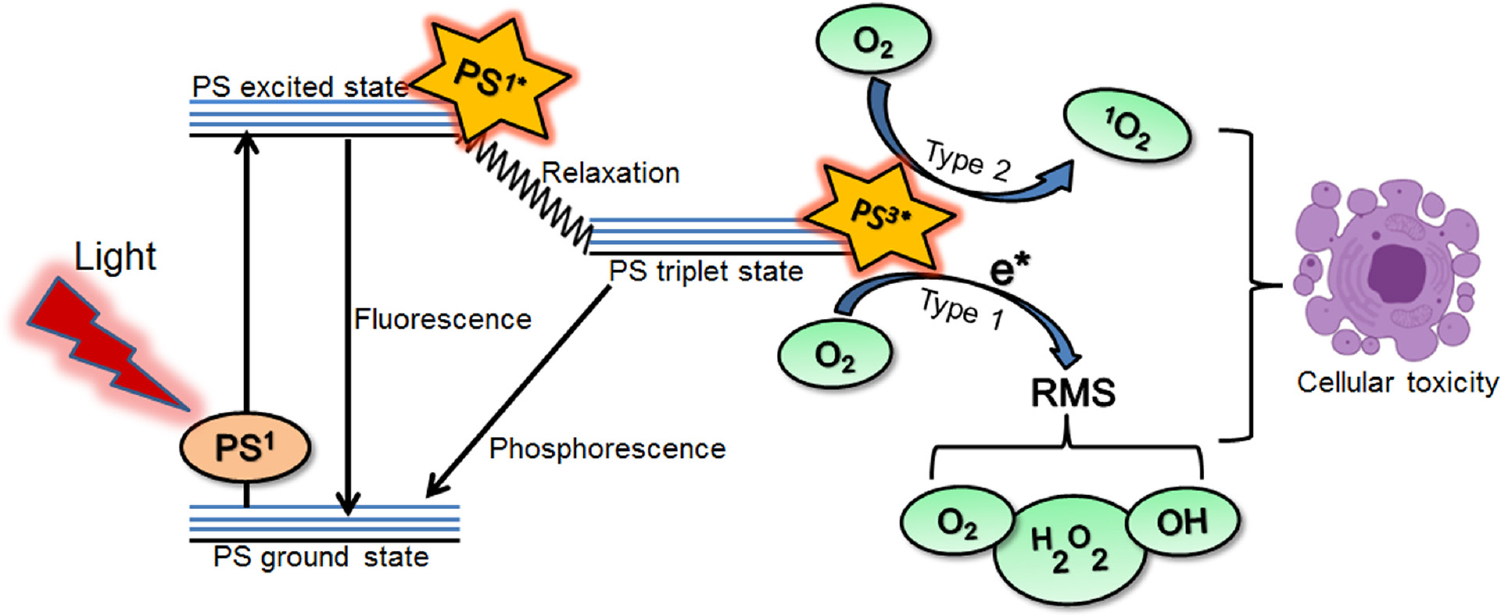 Fig. 2.