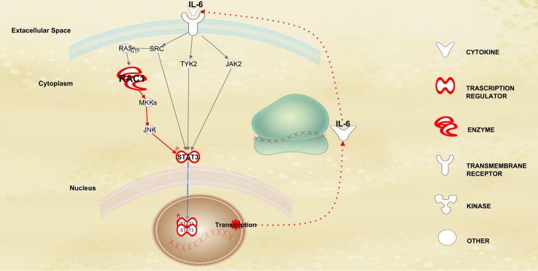 Figure 6