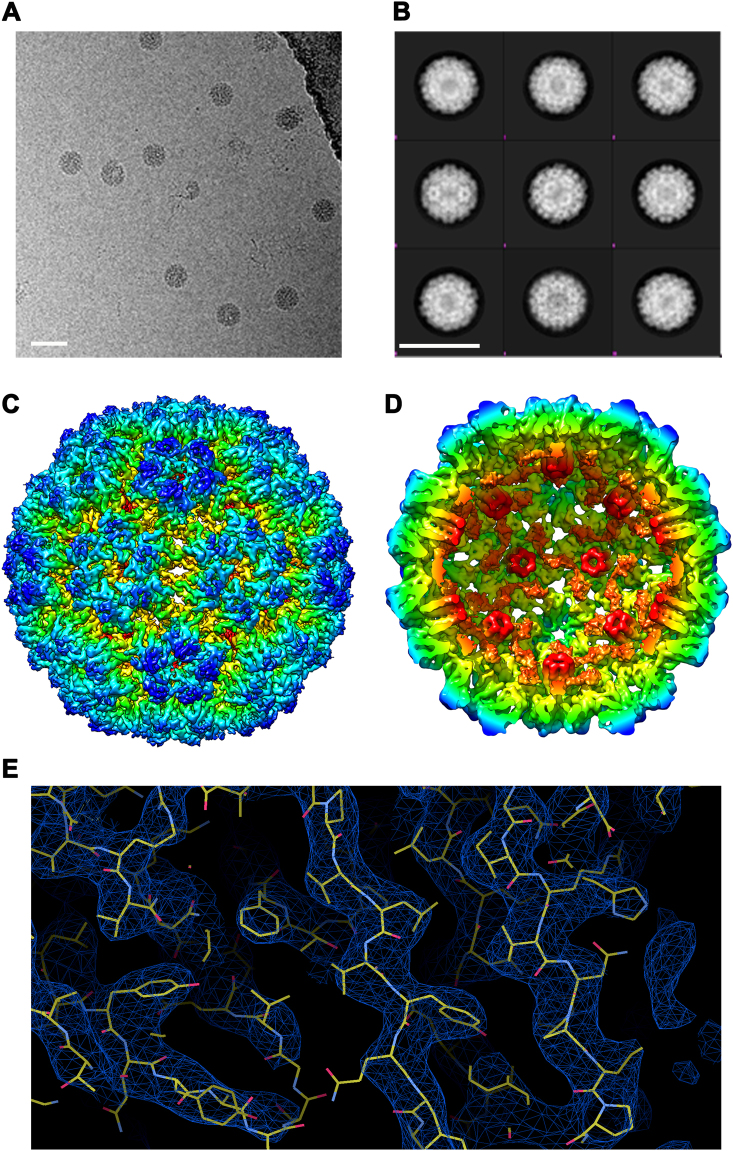 Fig. 2