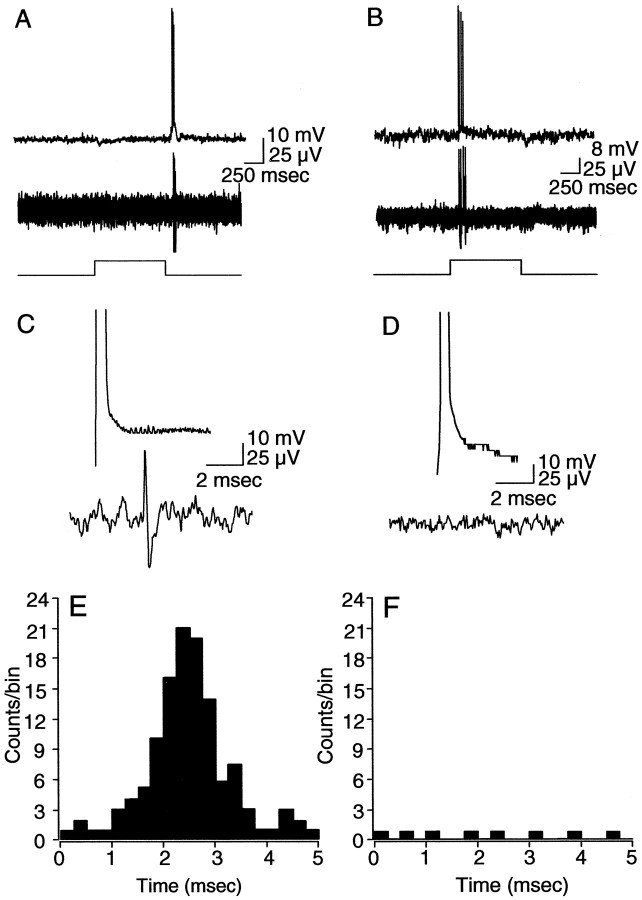 Figure 9.