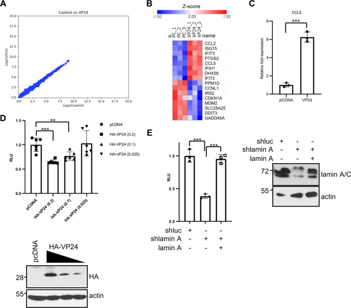 FIG 12