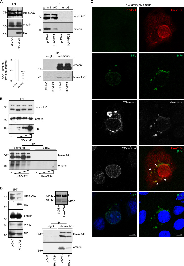 FIG 6