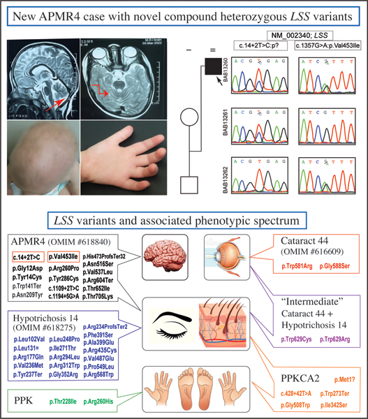 graphic file with name nihms-1902289-f0001.jpg