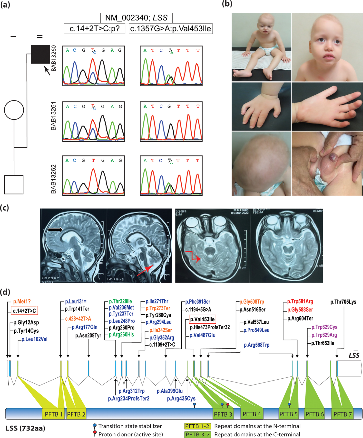 Figure 1: