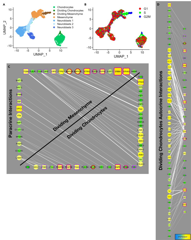 Figure 7