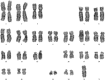 Fig. 5