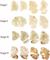 Fig. 4.3