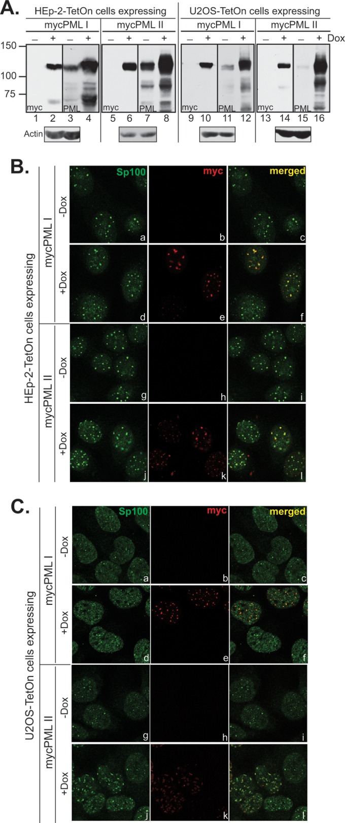 FIG 2