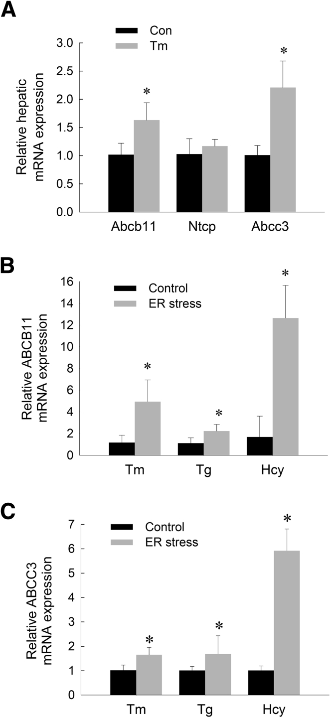 Figure 3