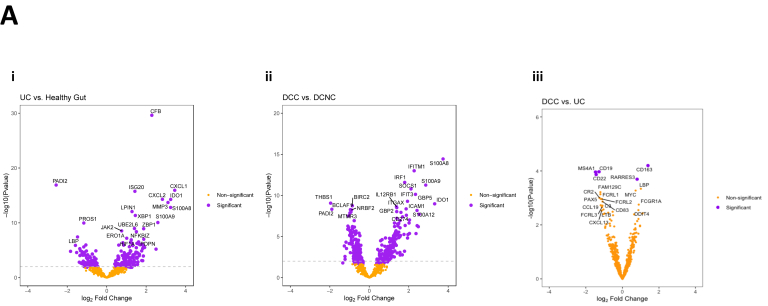 Supplementary Figure 3